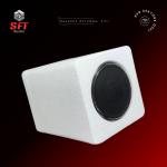 SFT Strafor Özel Üretim Kavanoz Koruma Kutusu 1'Li