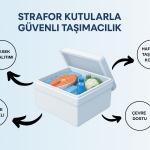 Soğuk Zincir Taşımacılığında Strafor Kutuların Rolü: Güvenli ve Dayanıklı Çözümler