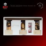 Armatür Koruması V6